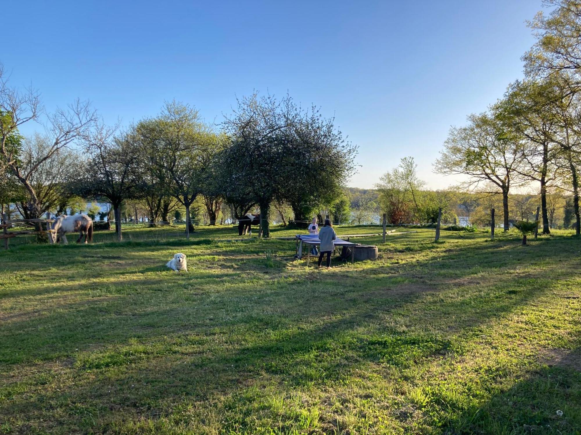 Gite A La Campagne Au Bord D'Un Lac 8 Personnes Saint-Quentin-sur-Charente Exterior photo