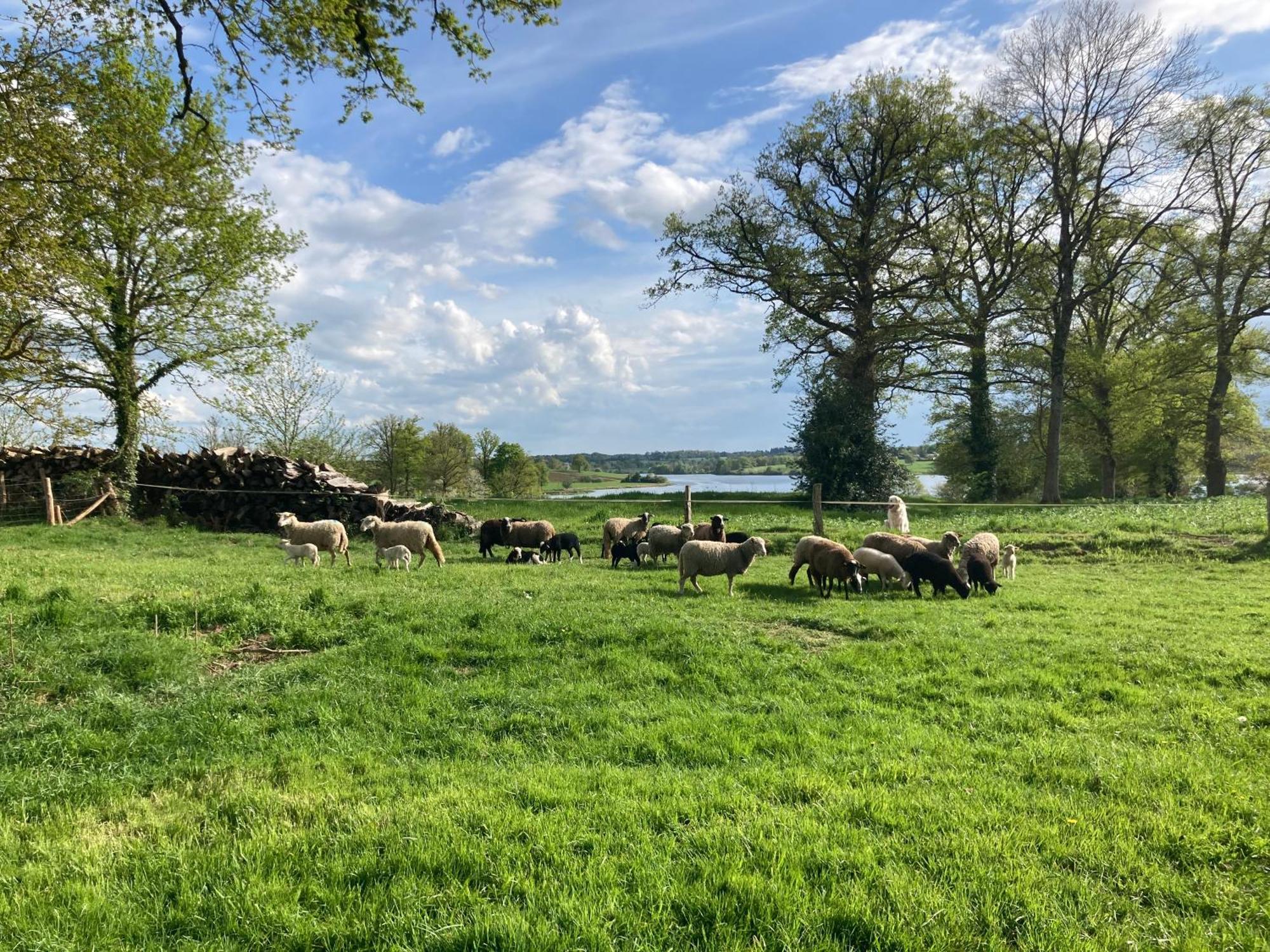 Gite A La Campagne Au Bord D'Un Lac 8 Personnes Saint-Quentin-sur-Charente Exterior photo